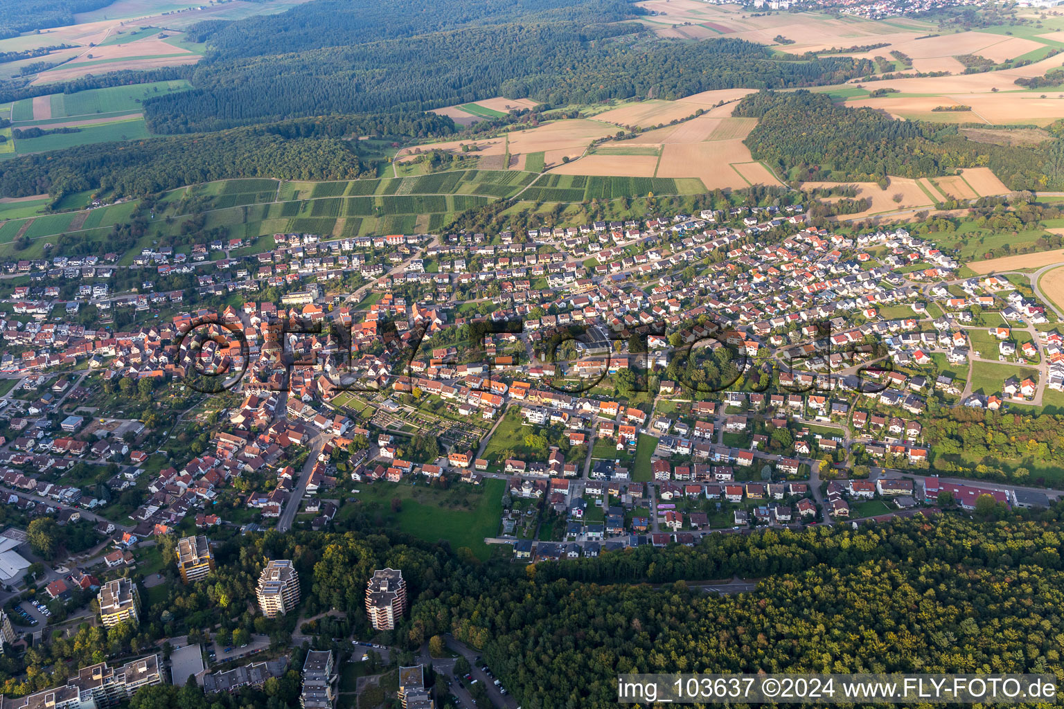 Eisingen dans le département Bade-Wurtemberg, Allemagne vue d'en haut