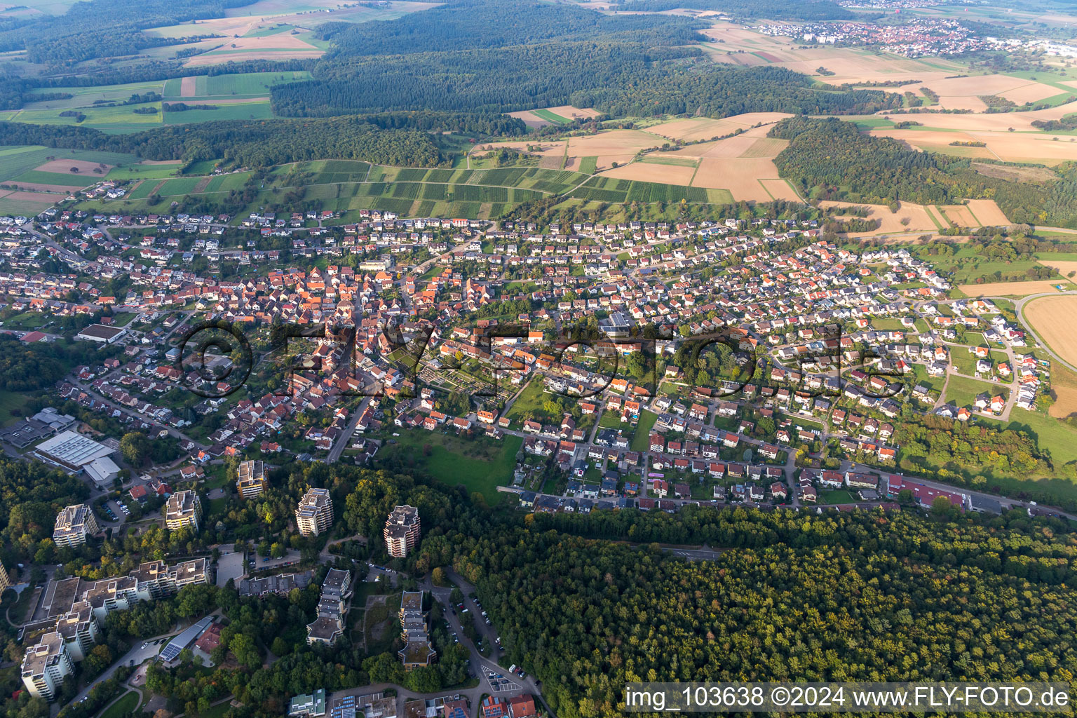 Eisingen dans le département Bade-Wurtemberg, Allemagne depuis l'avion