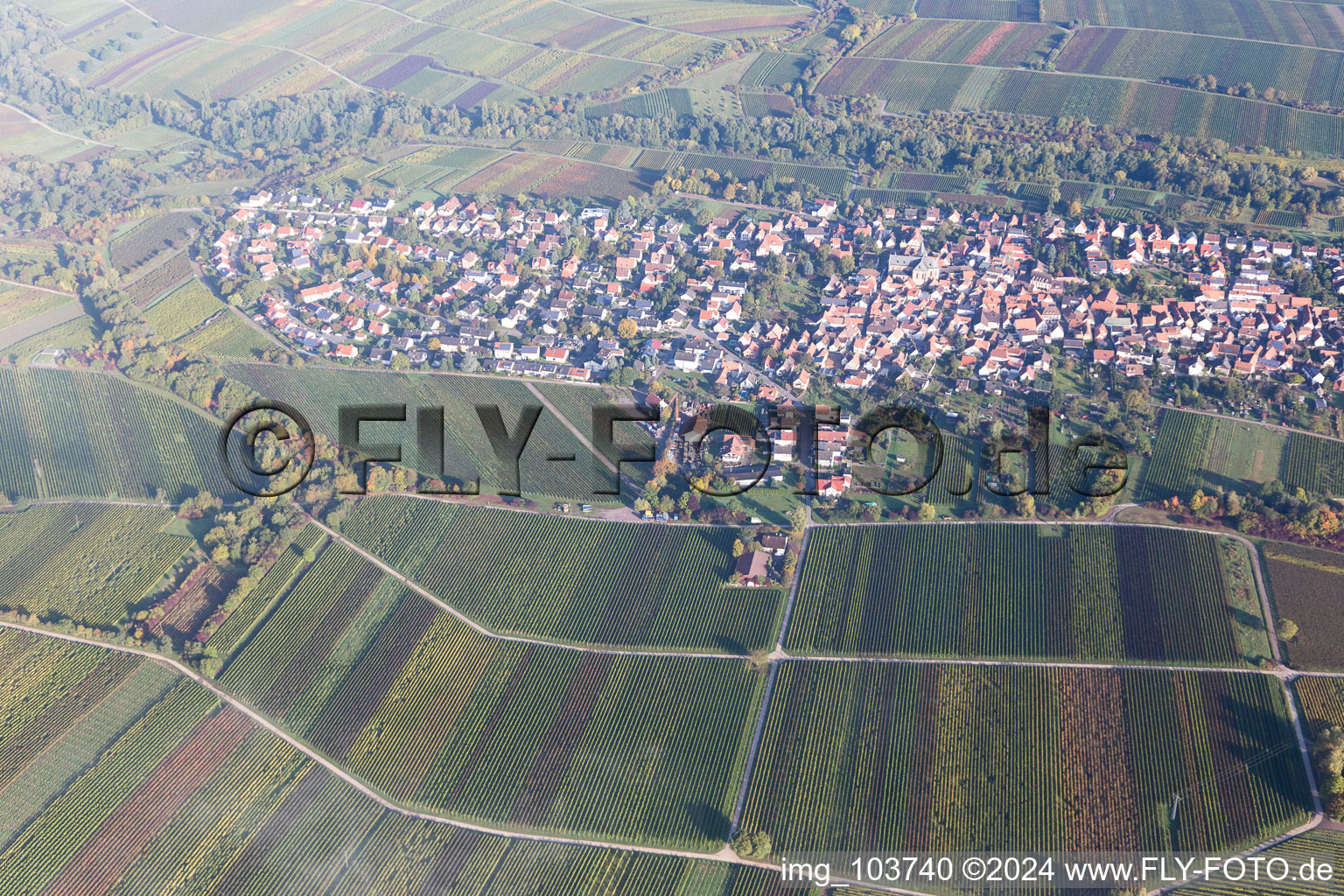 Photographie aérienne de Quartier Wollmesheim in Landau in der Pfalz dans le département Rhénanie-Palatinat, Allemagne