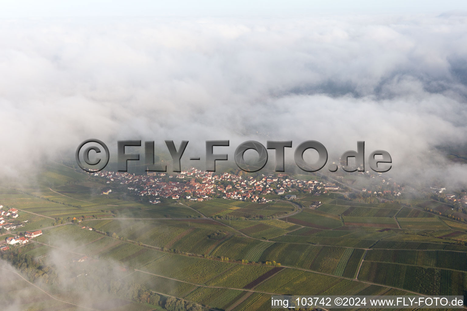 Image drone de Birkweiler dans le département Rhénanie-Palatinat, Allemagne