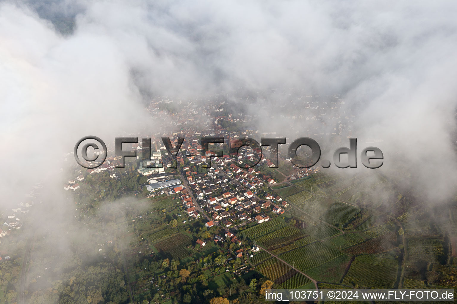 Vue oblique de Siebeldingen dans le département Rhénanie-Palatinat, Allemagne