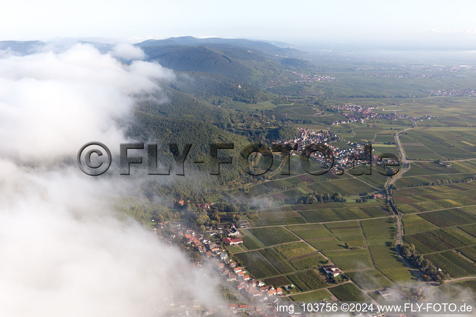 Image drone de Frankweiler dans le département Rhénanie-Palatinat, Allemagne