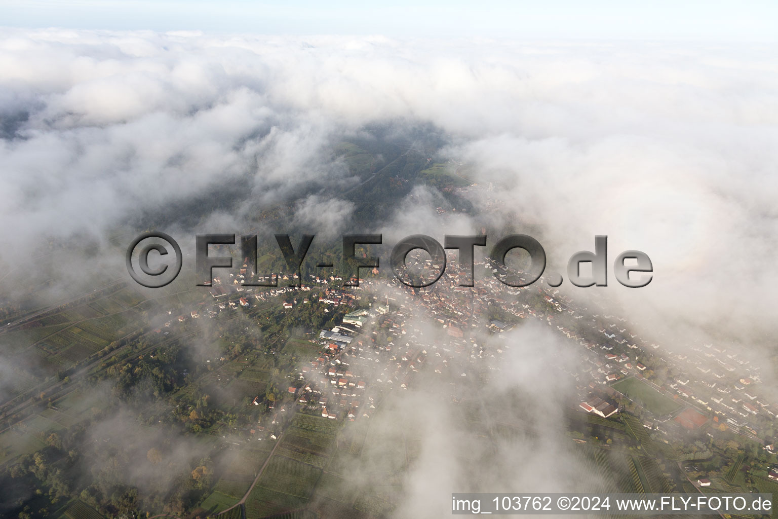 Siebeldingen dans le département Rhénanie-Palatinat, Allemagne vue d'en haut