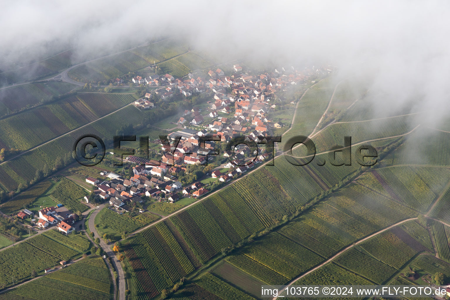 Vue oblique de Birkweiler dans le département Rhénanie-Palatinat, Allemagne