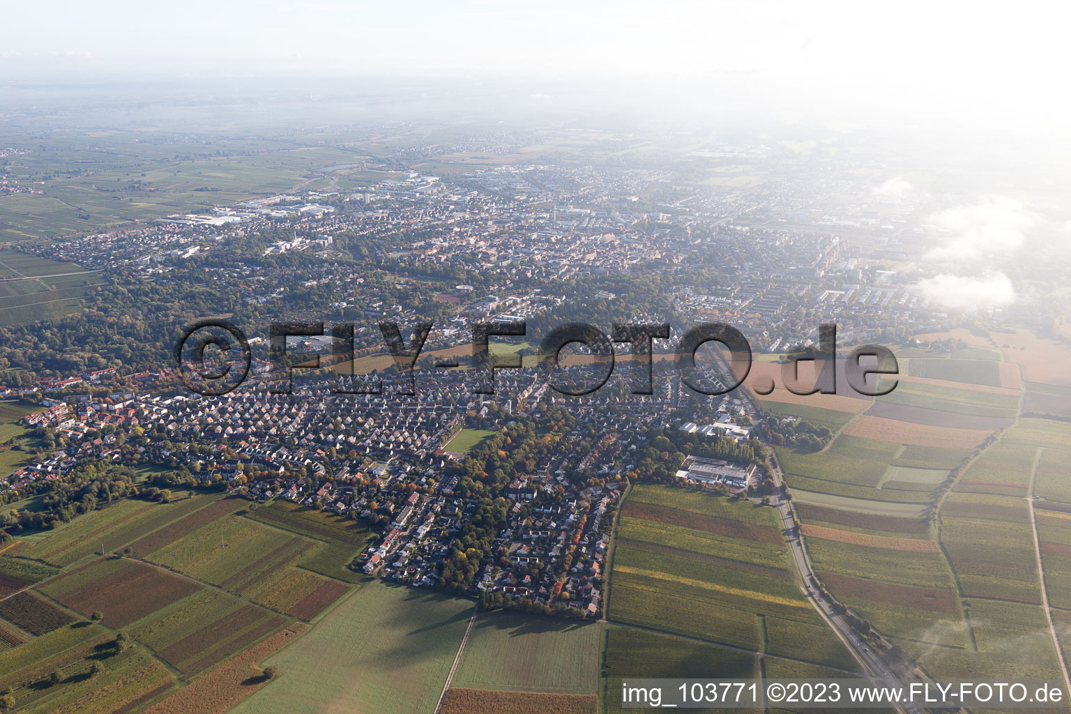 Vue oblique de Quartier Wollmesheim in Landau in der Pfalz dans le département Rhénanie-Palatinat, Allemagne