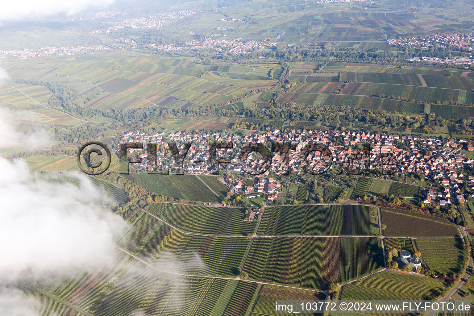 Quartier Wollmesheim in Landau in der Pfalz dans le département Rhénanie-Palatinat, Allemagne d'en haut