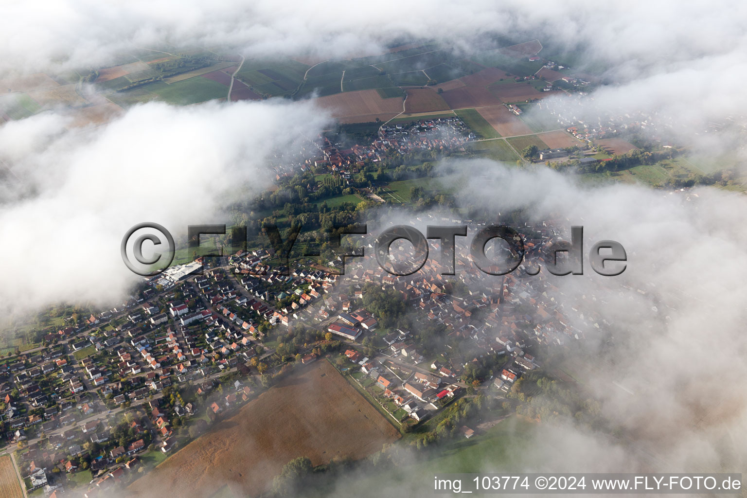 Vue d'oiseau de Quartier Billigheim in Billigheim-Ingenheim dans le département Rhénanie-Palatinat, Allemagne