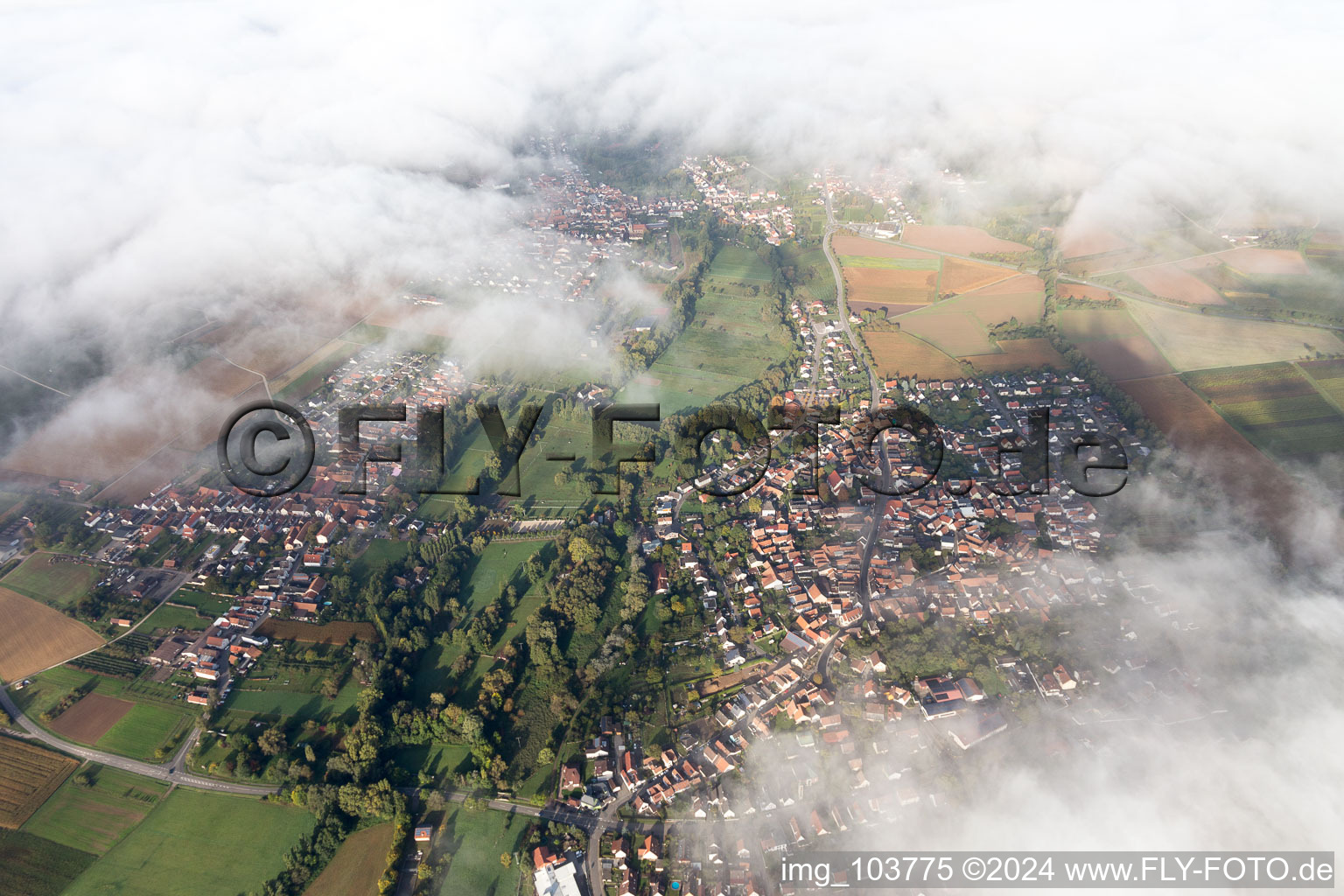 Quartier Billigheim in Billigheim-Ingenheim dans le département Rhénanie-Palatinat, Allemagne vue du ciel