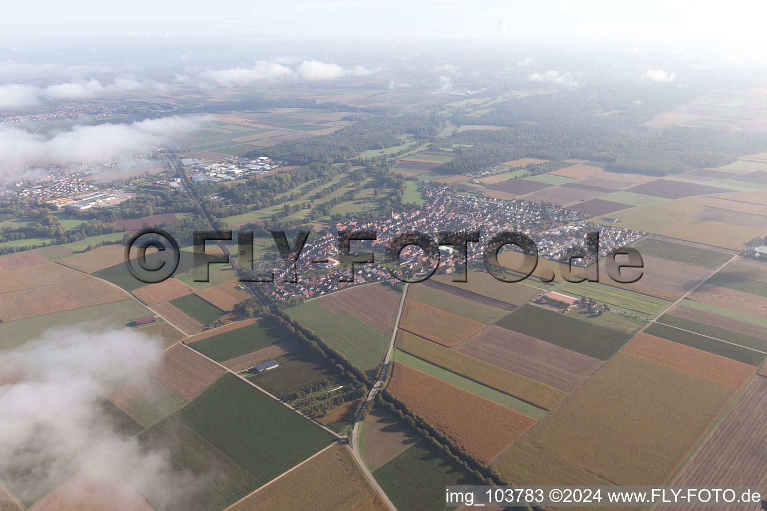 Vue d'oiseau de Steinweiler dans le département Rhénanie-Palatinat, Allemagne