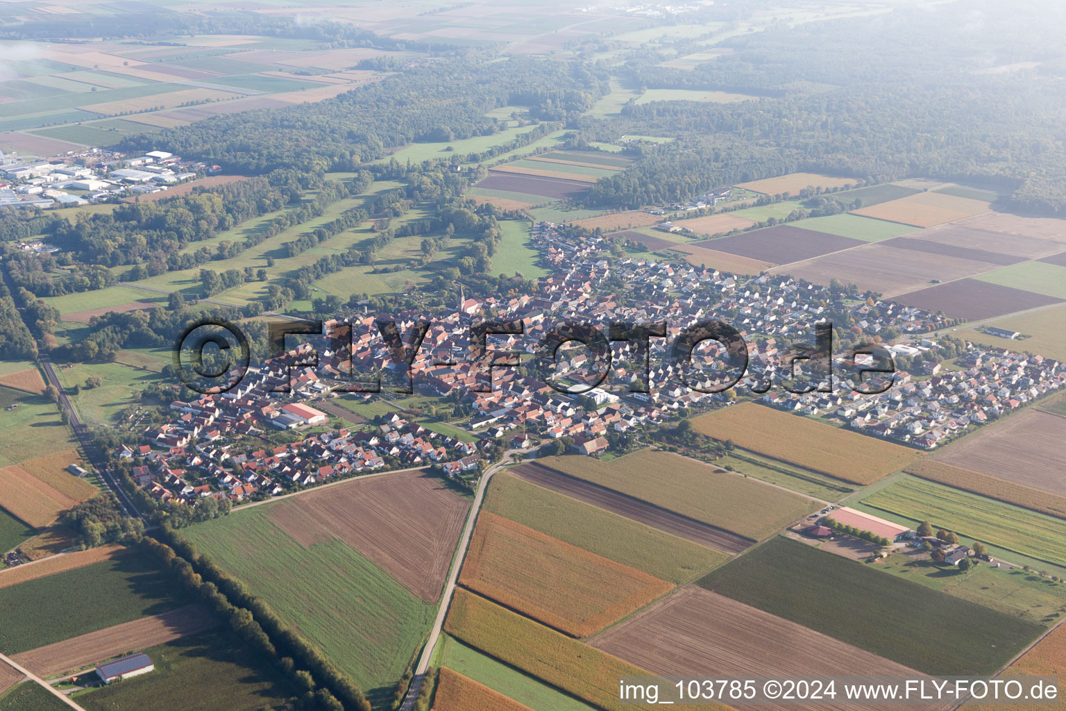 Steinweiler dans le département Rhénanie-Palatinat, Allemagne vue du ciel