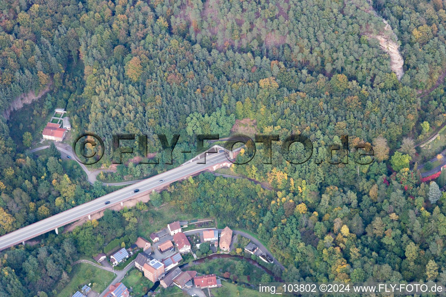 Rinnthal dans le département Rhénanie-Palatinat, Allemagne du point de vue du drone