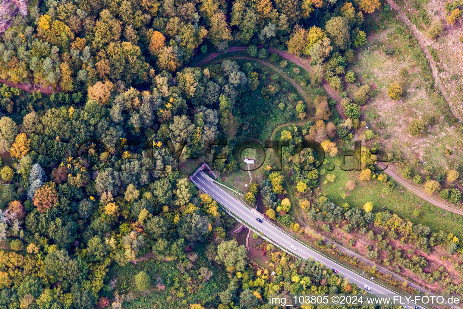 Vue aérienne de Entrée et sortie du tunnel B48 dans l'étroite vallée du Queich à Rinnthal dans le département Rhénanie-Palatinat, Allemagne