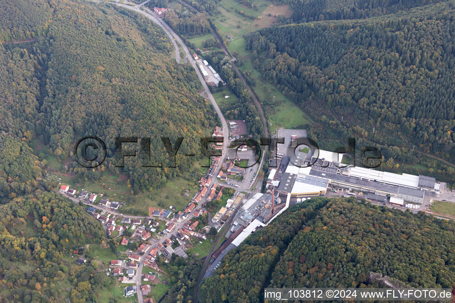 Photographie aérienne de Les locaux de l'usine de carton Buchmann GmbH à le quartier Sarnstall in Annweiler am Trifels dans le département Rhénanie-Palatinat, Allemagne