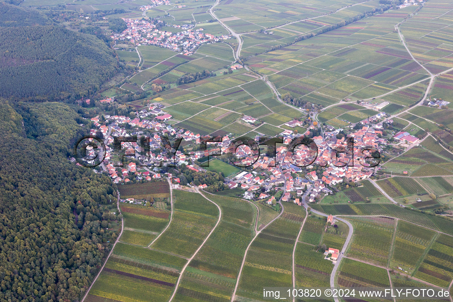 Frankweiler dans le département Rhénanie-Palatinat, Allemagne du point de vue du drone