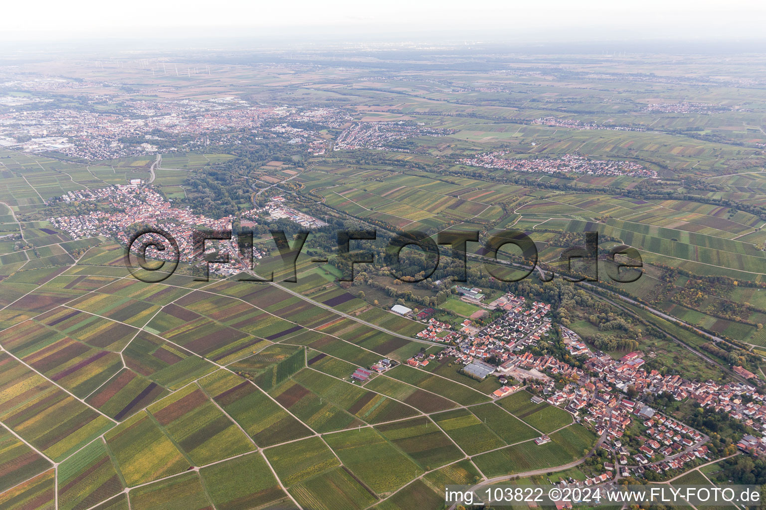 Vue d'oiseau de Siebeldingen dans le département Rhénanie-Palatinat, Allemagne