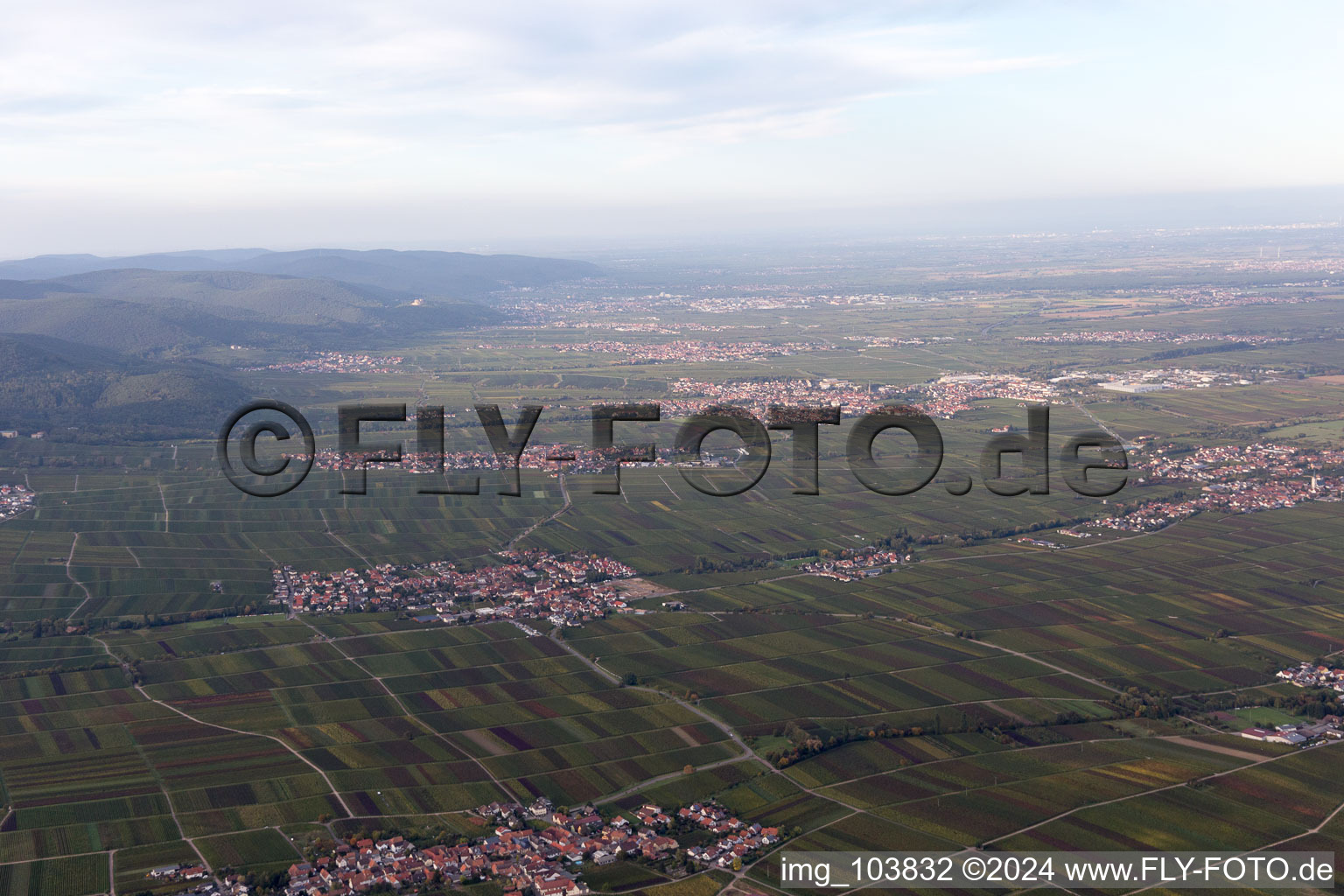 Vue aérienne de Flemlingen dans le département Rhénanie-Palatinat, Allemagne