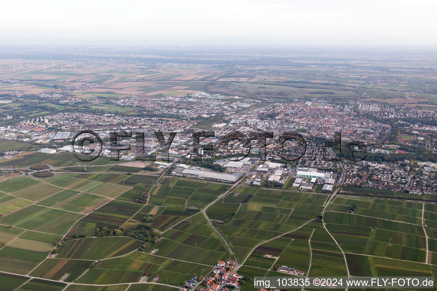 Landau Nord à Landau in der Pfalz dans le département Rhénanie-Palatinat, Allemagne depuis l'avion