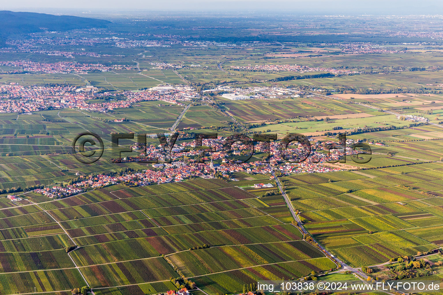 Vue aérienne de Vue des rues et des maisons des quartiers résidentiels à Roschbach dans le département Rhénanie-Palatinat, Allemagne