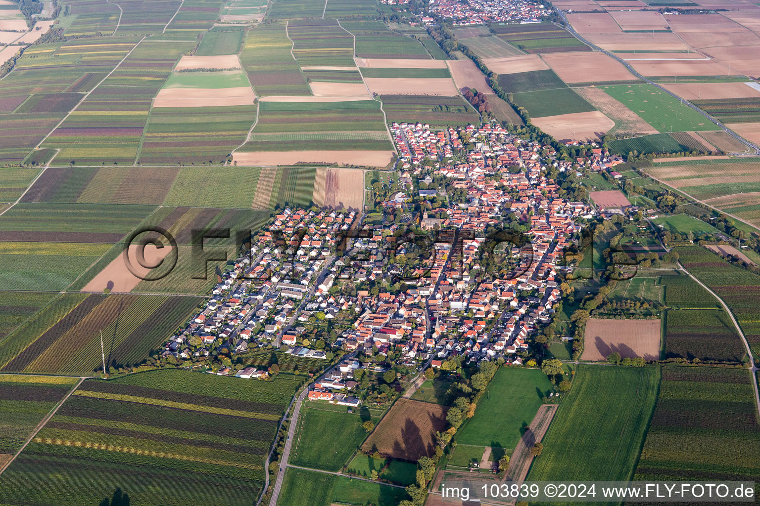 Vue aérienne de Champs agricoles et surfaces utilisables à Essingen dans le département Rhénanie-Palatinat, Allemagne