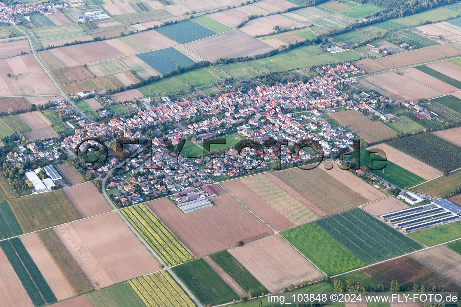 Gommersheim dans le département Rhénanie-Palatinat, Allemagne depuis l'avion