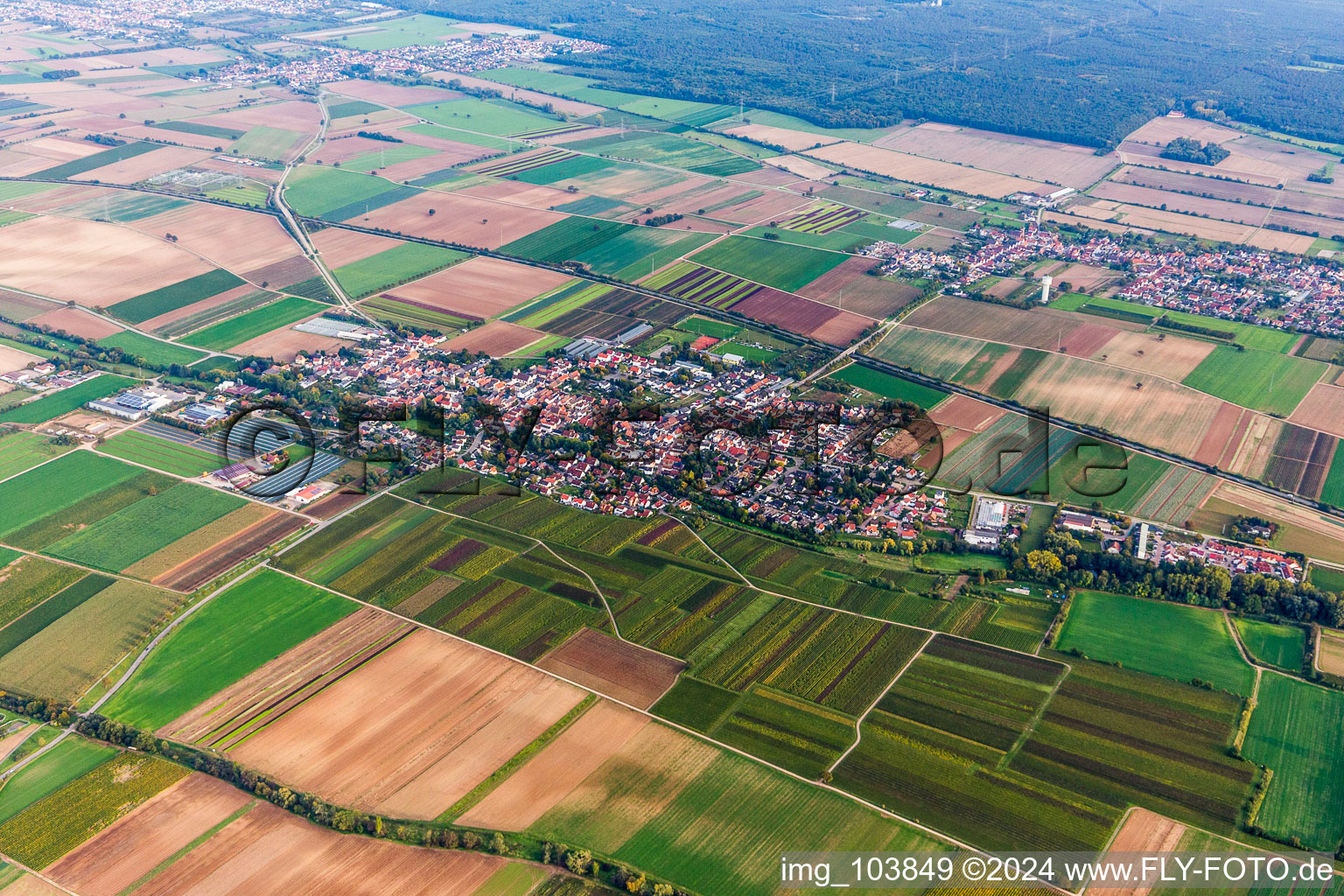 Photographie aérienne de (Palatinat) à Weingarten dans le département Rhénanie-Palatinat, Allemagne