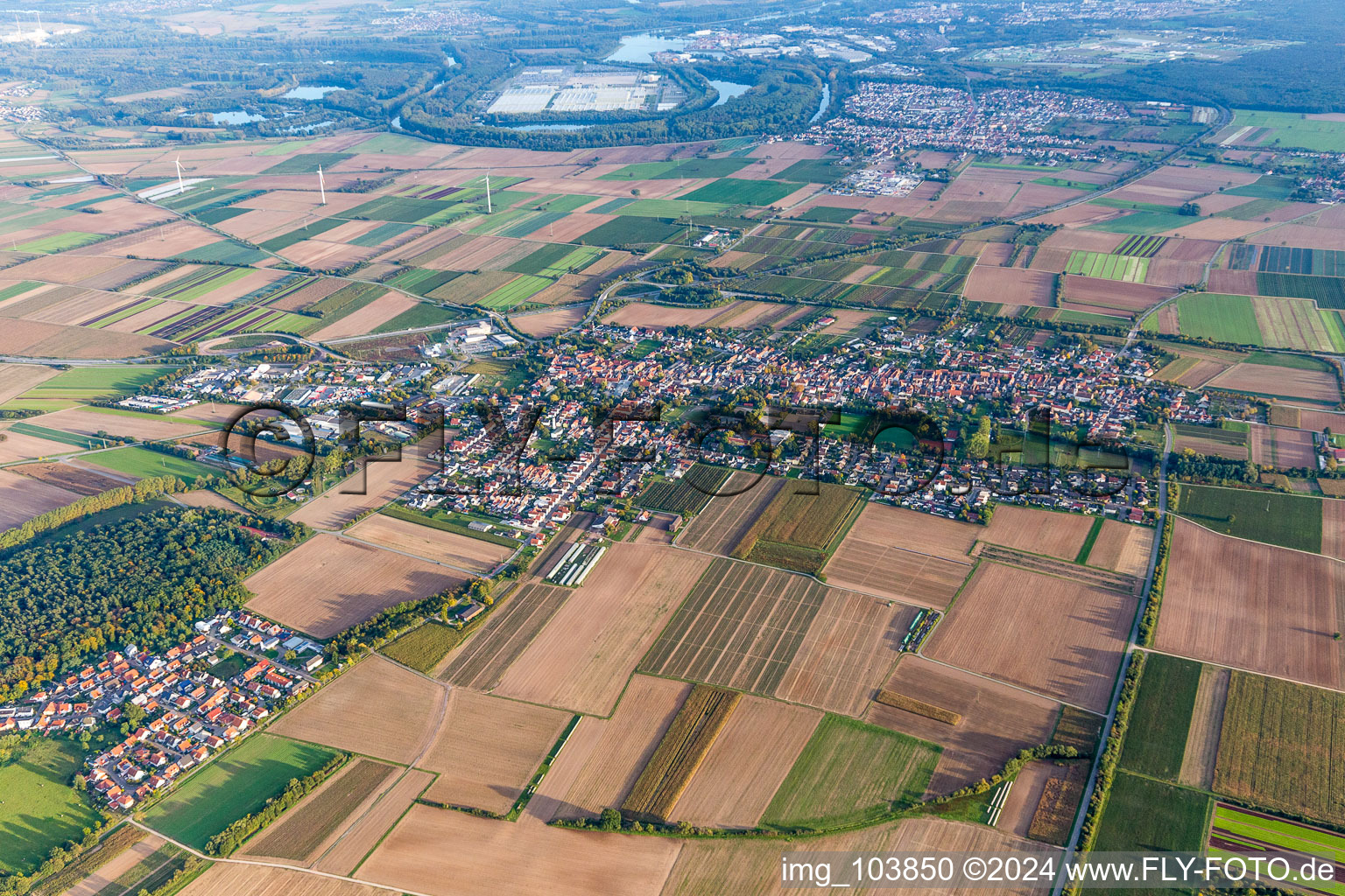 Photographie aérienne de Vue des rues et des maisons des quartiers résidentiels à Schwegenheim dans le département Rhénanie-Palatinat, Allemagne