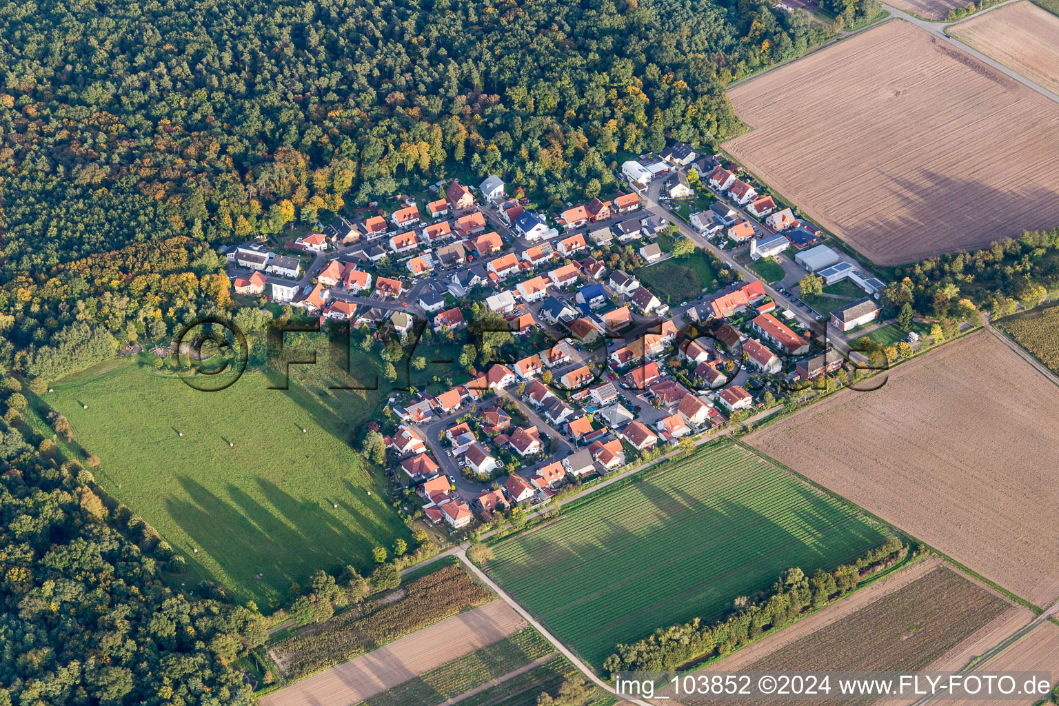 Vue aérienne de Zone d'habitation dans le district de Vorderlohe à Schwegenheim dans le département Rhénanie-Palatinat, Allemagne