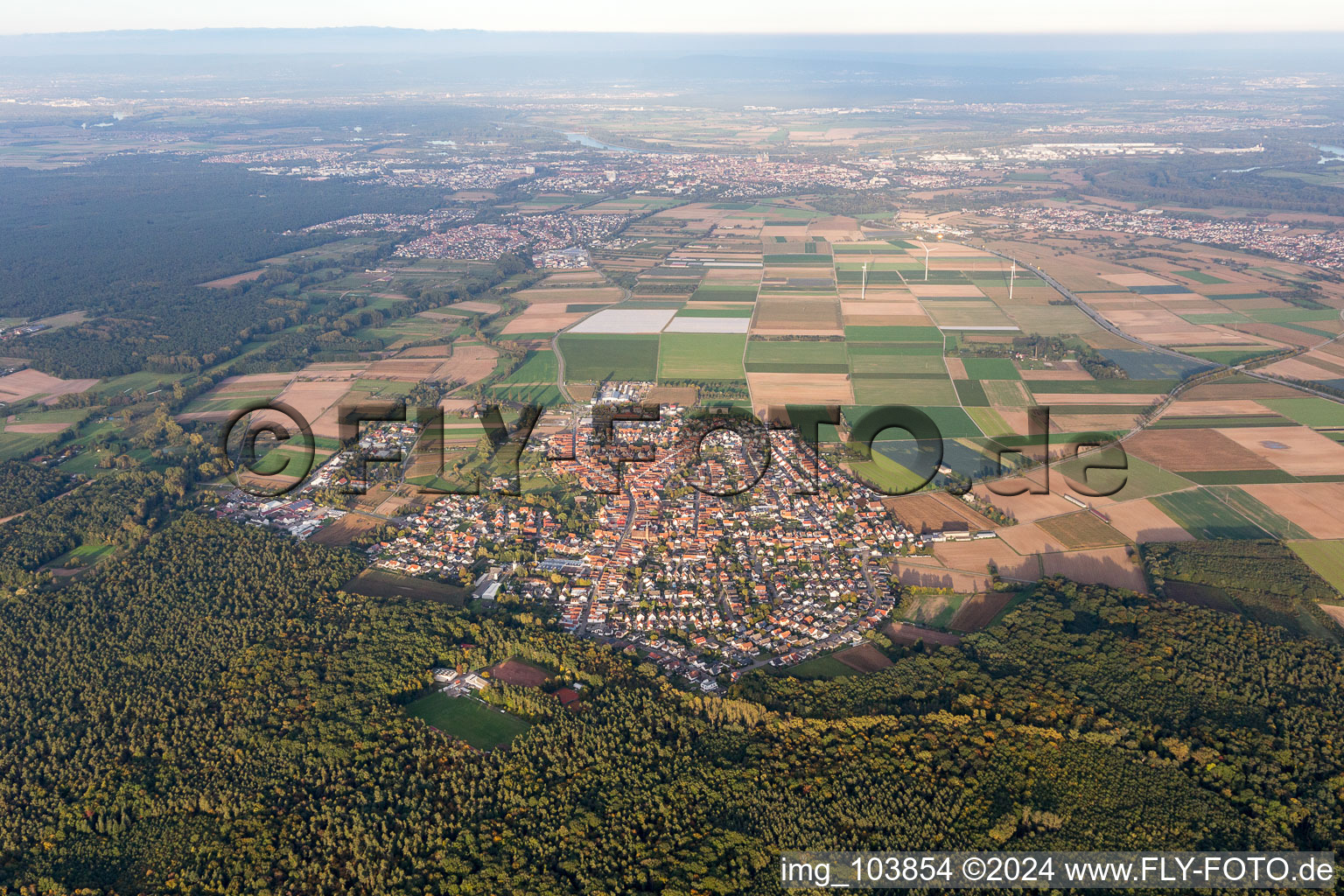 Harthausen dans le département Rhénanie-Palatinat, Allemagne vue d'en haut