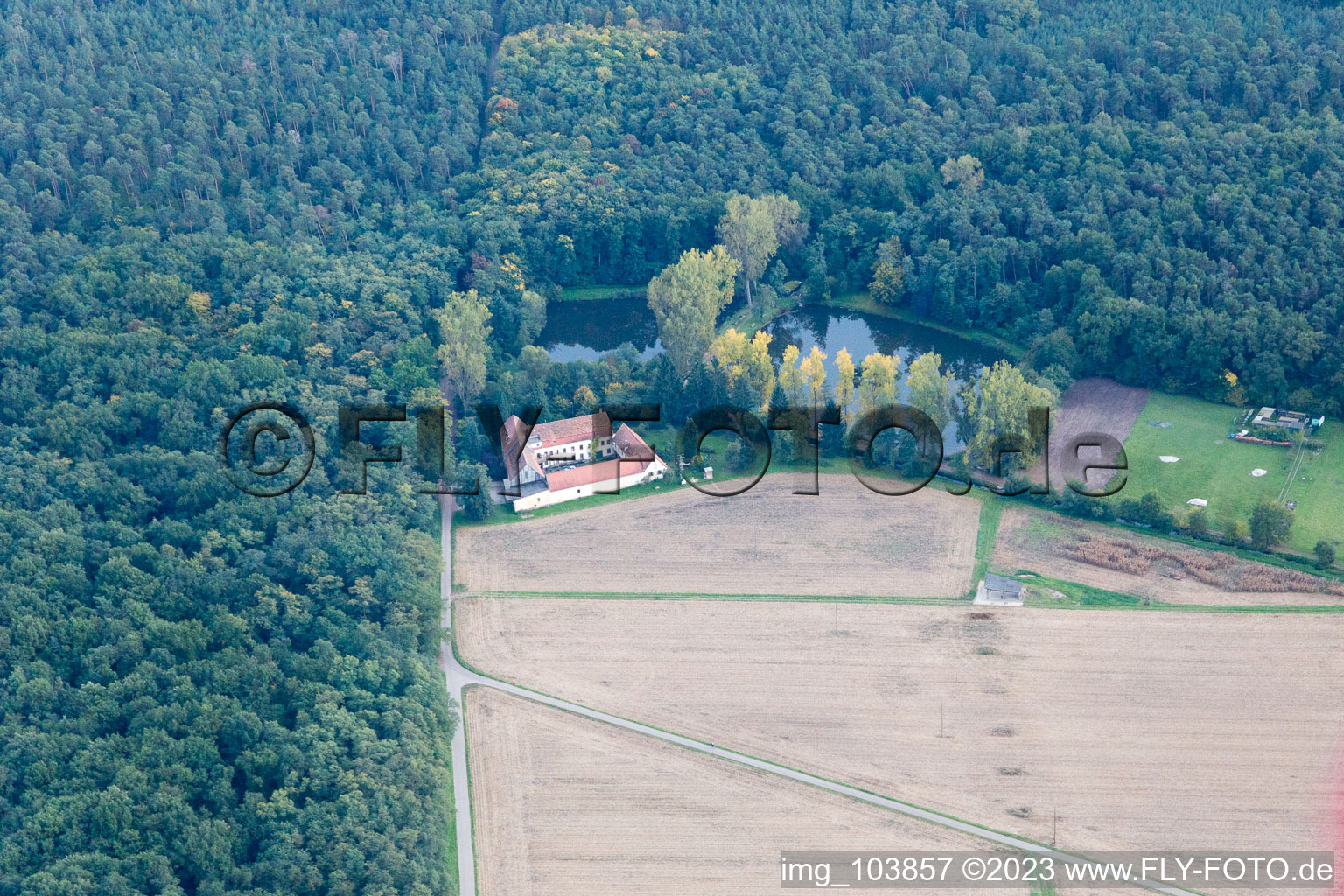 Vue aérienne de Lachenmühle à Lustadt dans le département Rhénanie-Palatinat, Allemagne