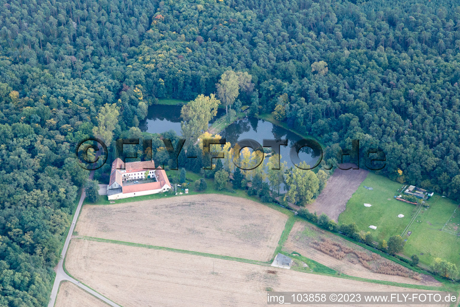 Vue aérienne de Lachenmühle à Lustadt dans le département Rhénanie-Palatinat, Allemagne