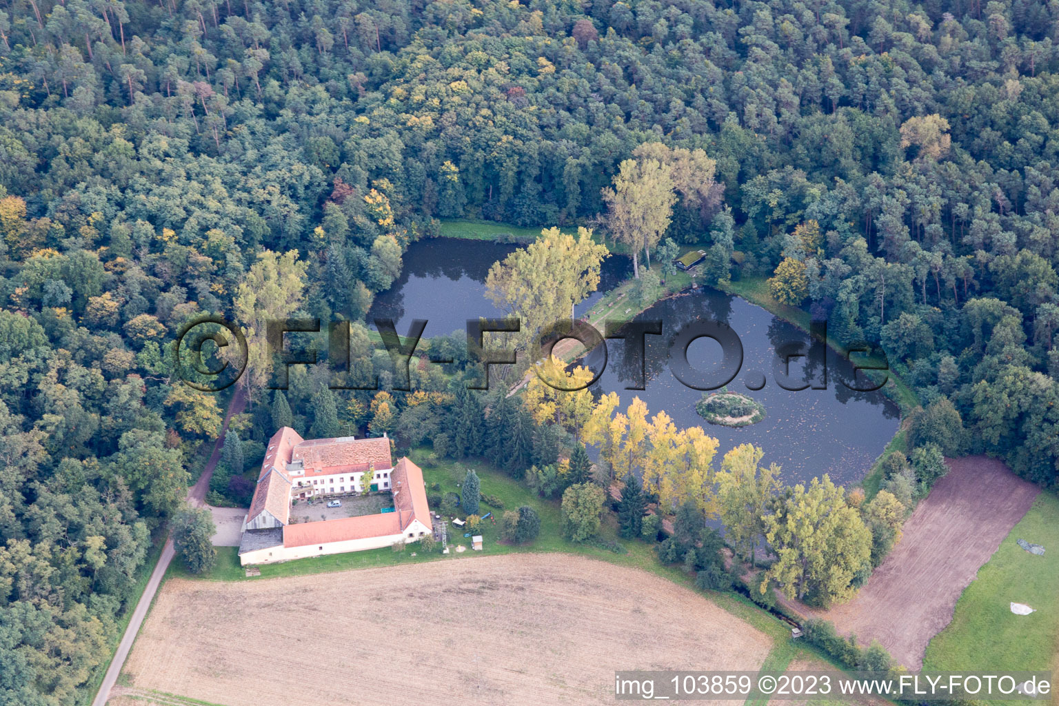 Photographie aérienne de Lachenmühle à Lustadt dans le département Rhénanie-Palatinat, Allemagne