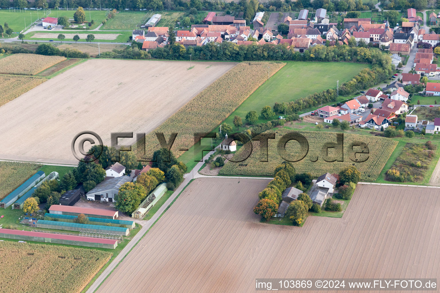 Herxheimweyher dans le département Rhénanie-Palatinat, Allemagne d'en haut