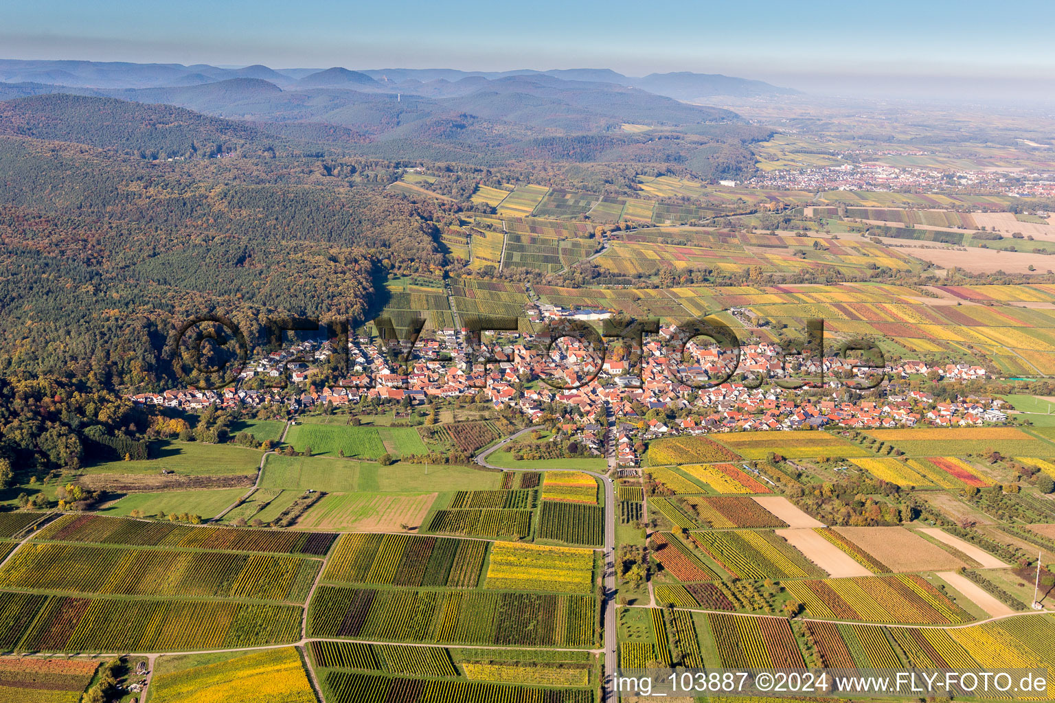 Photographie aérienne de Vue des rues et des maisons des quartiers résidentiels à Oberotterbach dans le département Rhénanie-Palatinat, Allemagne