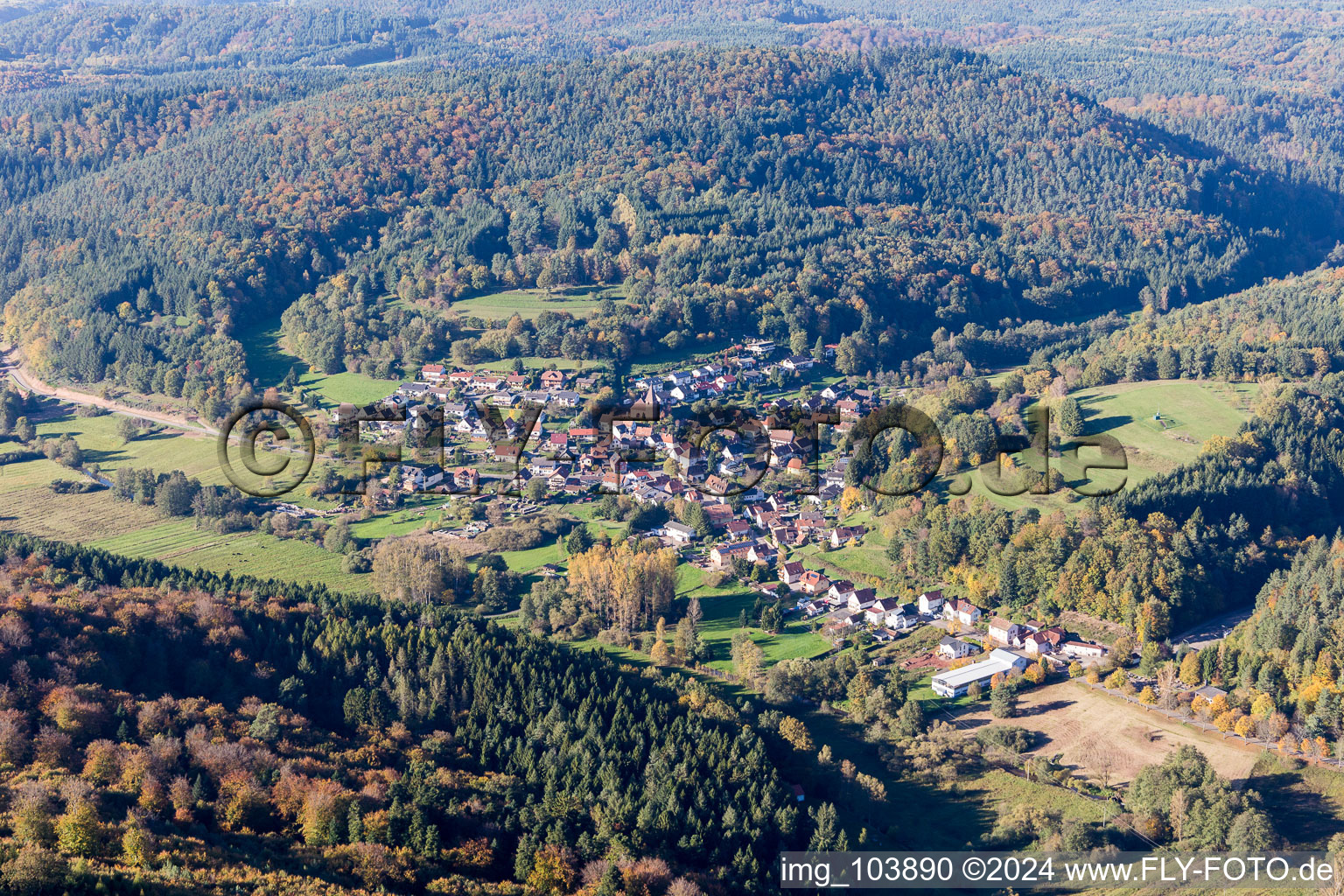 Vue aérienne de Niederschlettenbach dans le département Rhénanie-Palatinat, Allemagne