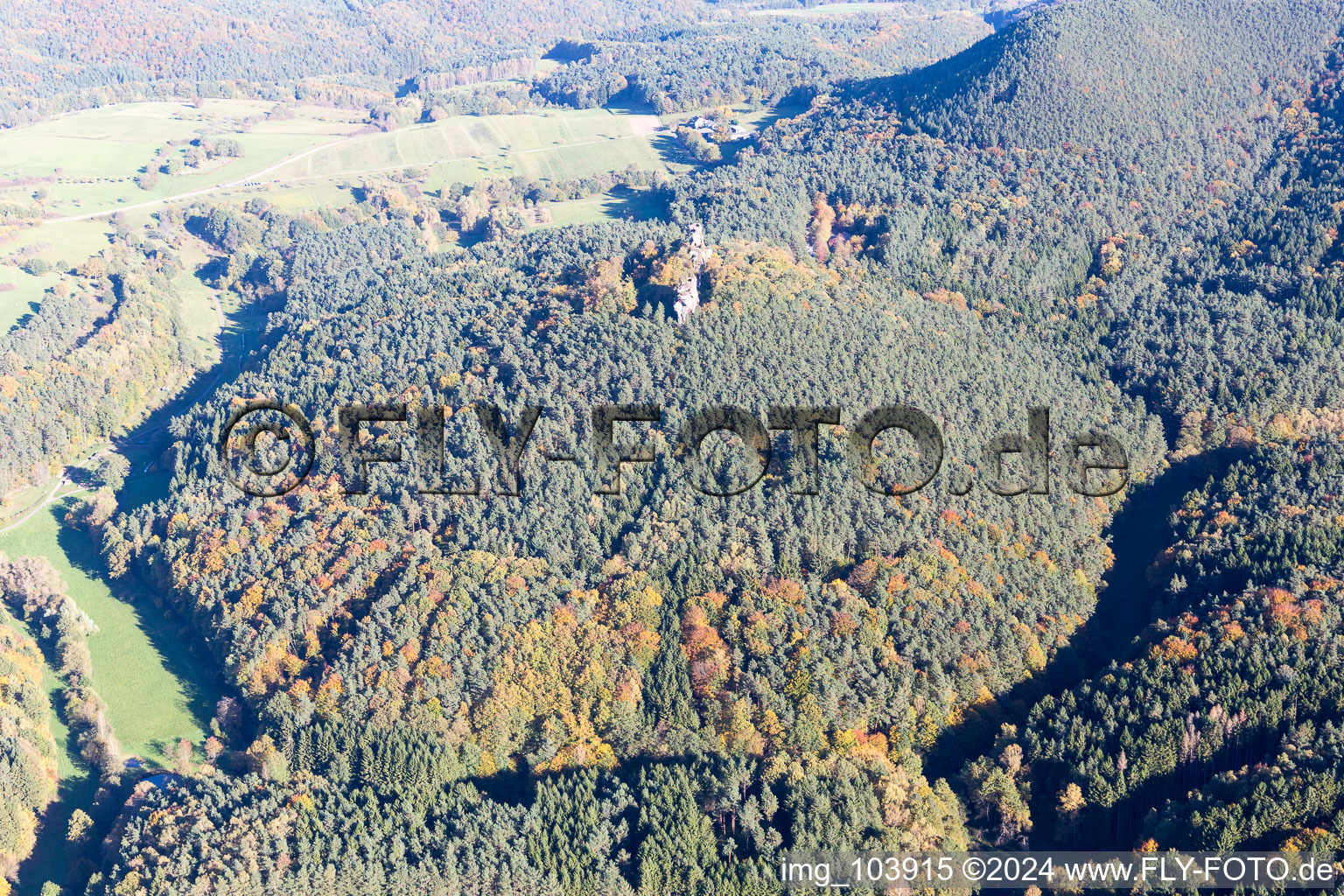 Photographie aérienne de Ruines du château de Drachenfels à Busenberg dans le département Rhénanie-Palatinat, Allemagne