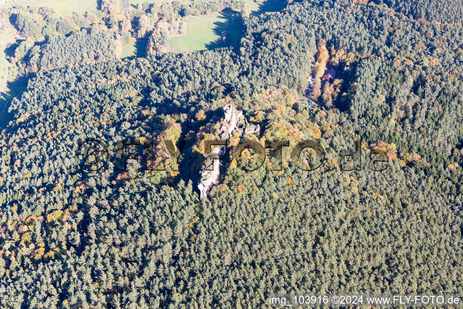 Vue oblique de Ruines du château de Drachenfels à Busenberg dans le département Rhénanie-Palatinat, Allemagne