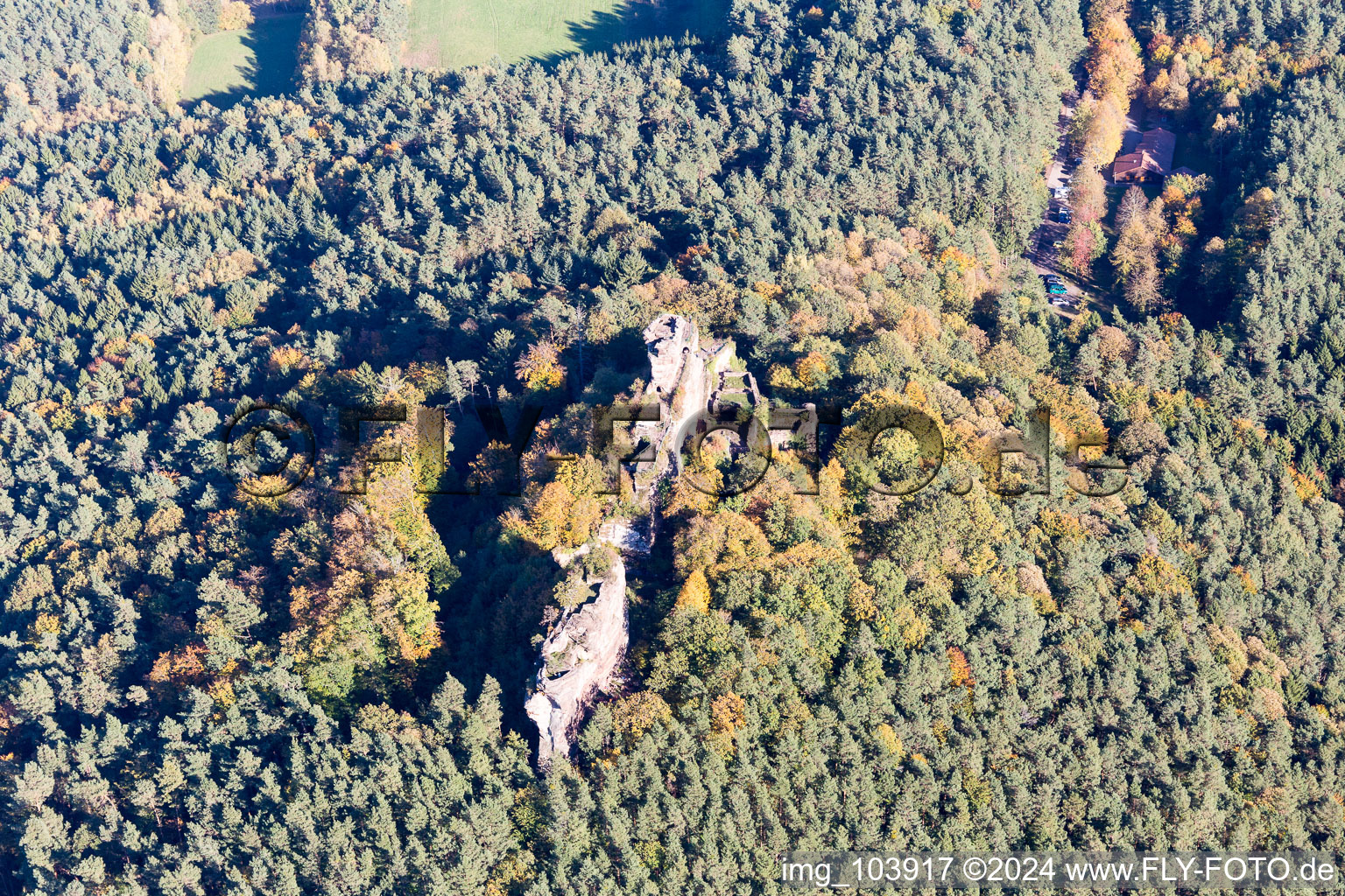 Ruines du château de Drachenfels à Busenberg dans le département Rhénanie-Palatinat, Allemagne d'en haut