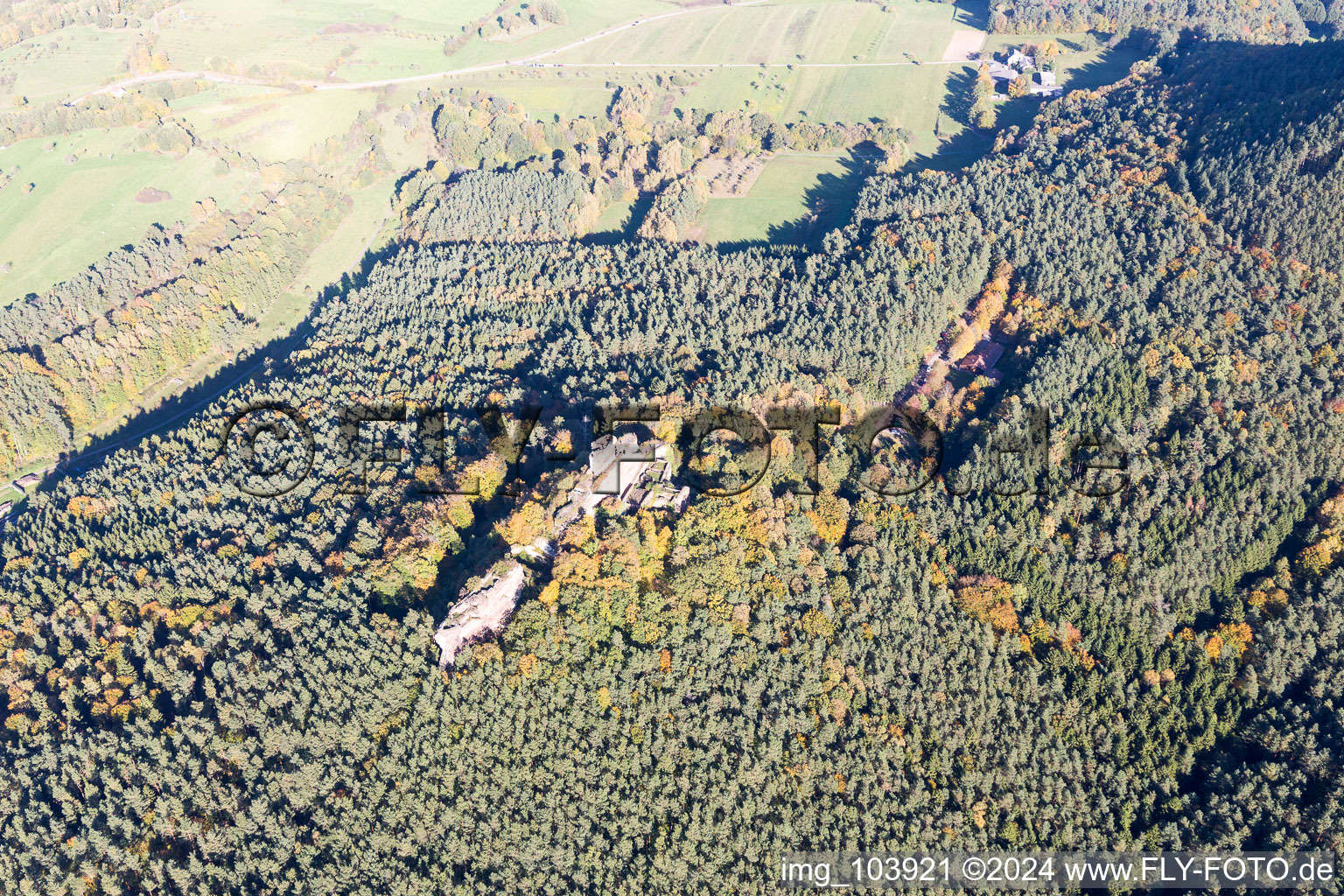 Ruines du château de Drachenfels à Busenberg dans le département Rhénanie-Palatinat, Allemagne hors des airs