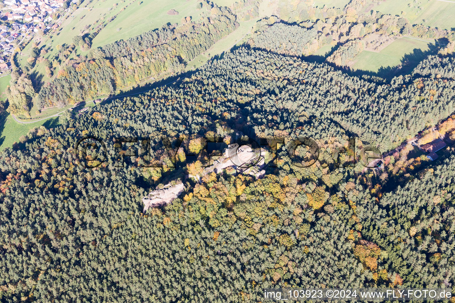 Ruines du château de Drachenfels à Busenberg dans le département Rhénanie-Palatinat, Allemagne vue d'en haut