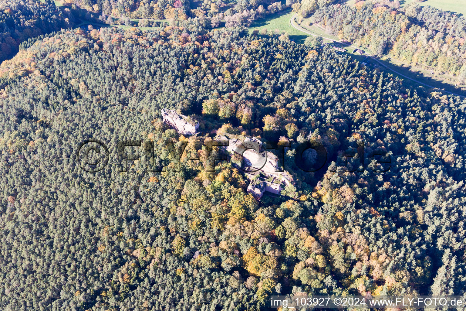 Vue d'oiseau de Ruines du château de Drachenfels à Busenberg dans le département Rhénanie-Palatinat, Allemagne