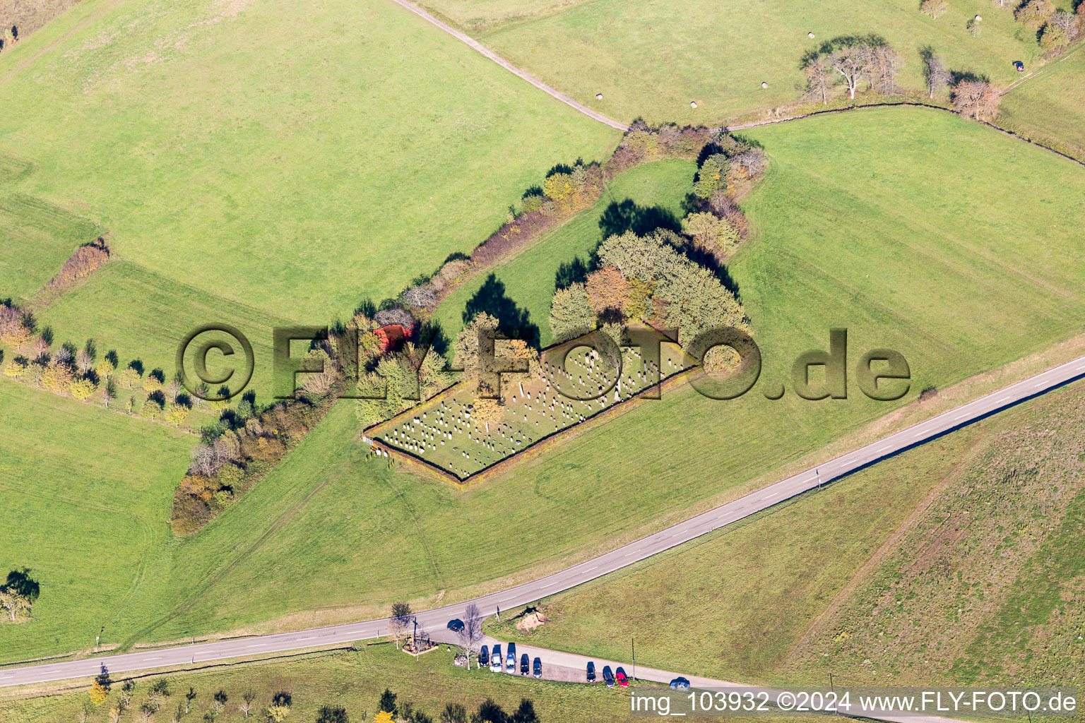 Vue oblique de Busenberg dans le département Rhénanie-Palatinat, Allemagne