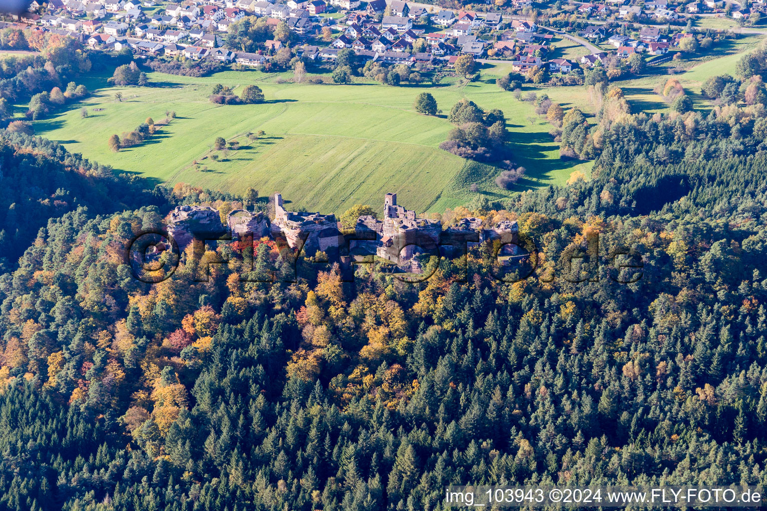 Vue aérienne de Ruine Alt-Dahn à Dahn dans le département Rhénanie-Palatinat, Allemagne