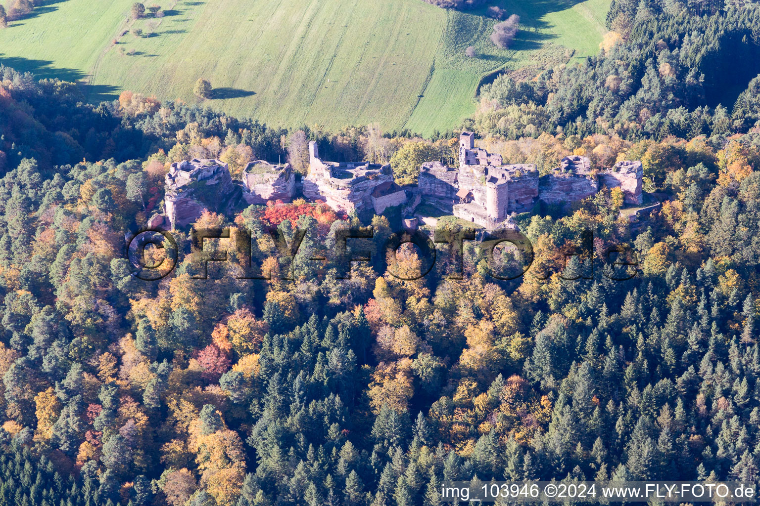 Vue aérienne de Ruine Alt-Dahn à Dahn dans le département Rhénanie-Palatinat, Allemagne