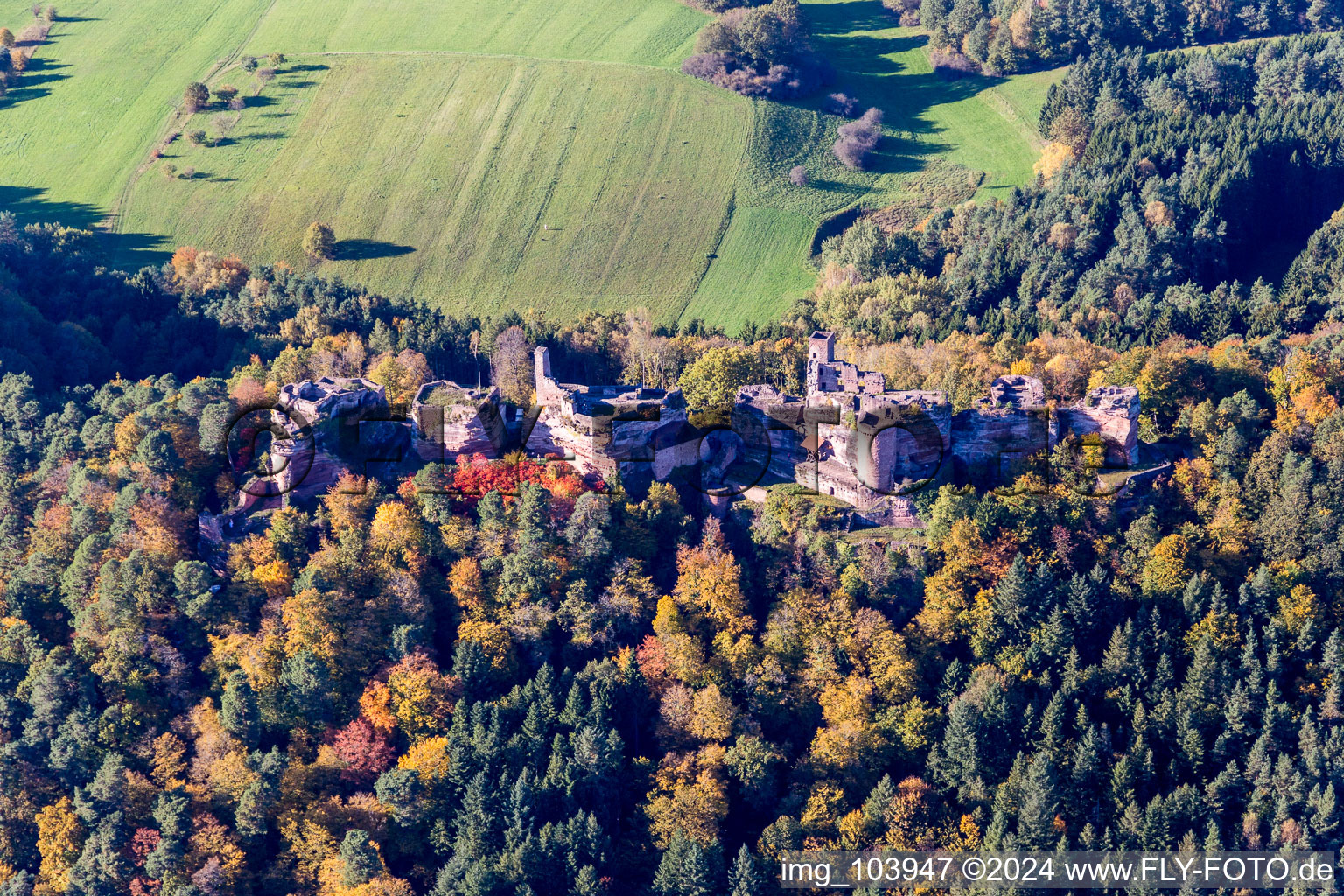 Photographie aérienne de Ruine Alt-Dahn à Dahn dans le département Rhénanie-Palatinat, Allemagne