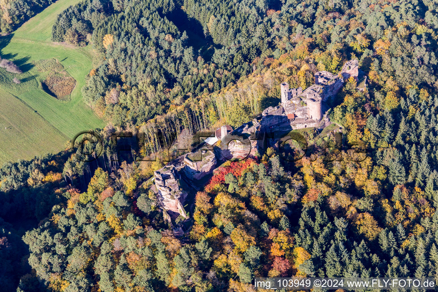 Vue oblique de Ruine Alt-Dahn à Dahn dans le département Rhénanie-Palatinat, Allemagne