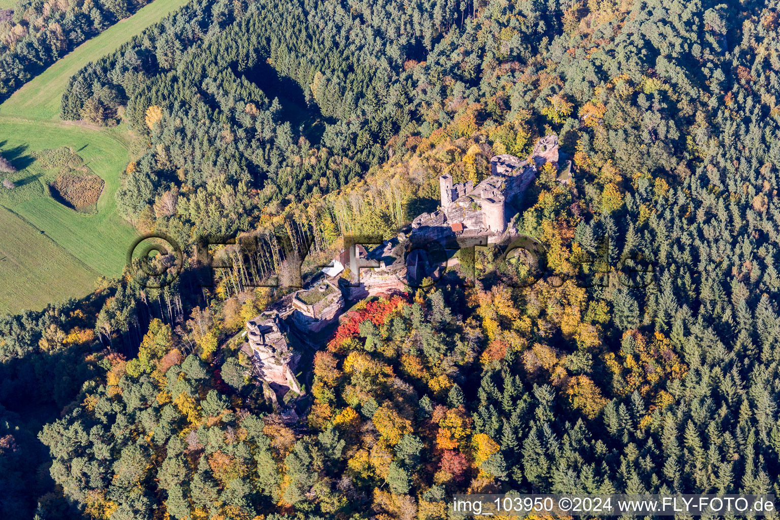 Vue aérienne de Châteaux d'Altdahn et de Neudahn à Dahn dans le département Rhénanie-Palatinat, Allemagne