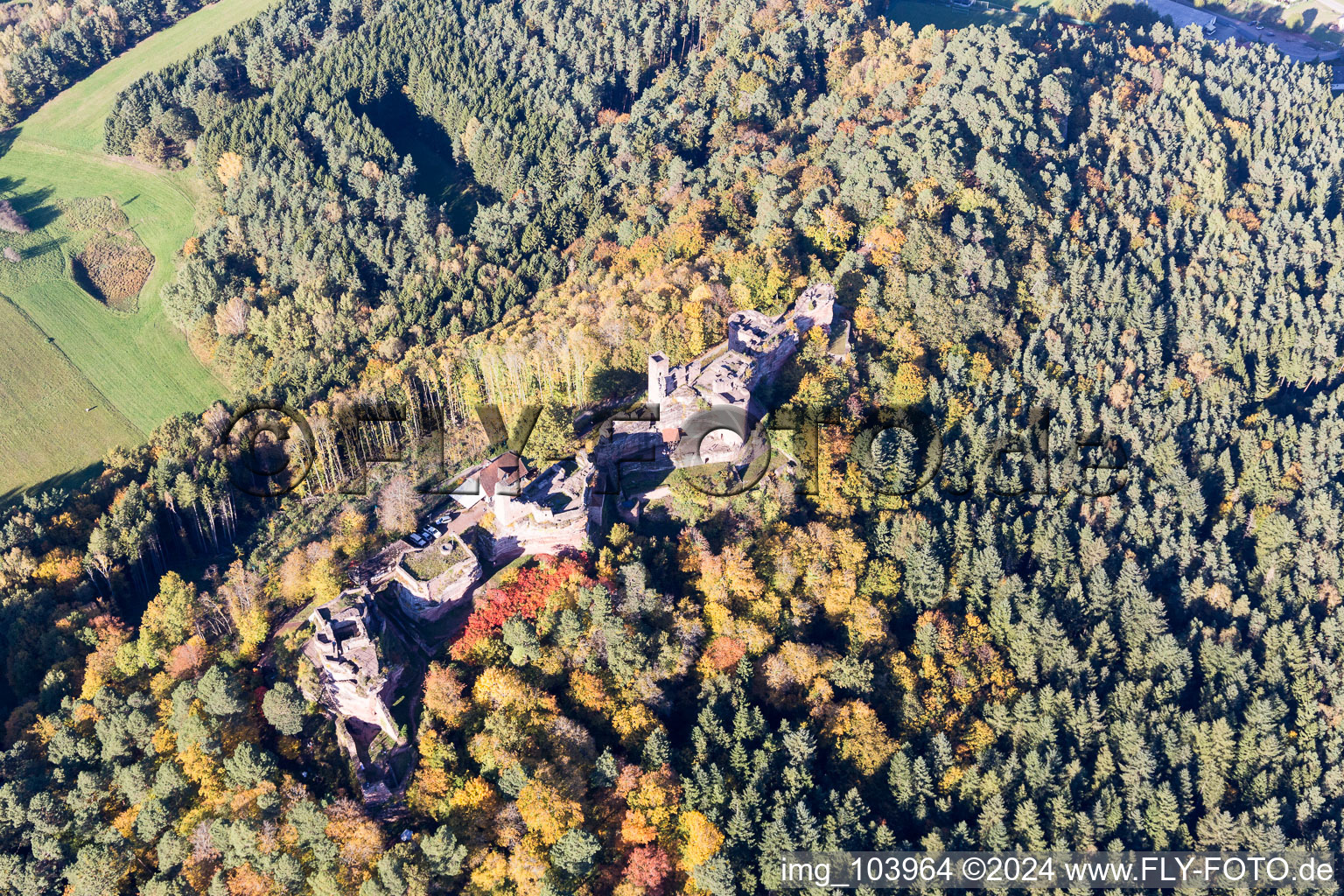 Châteaux d'Altdahn et de Neudahn à Dahn dans le département Rhénanie-Palatinat, Allemagne d'en haut