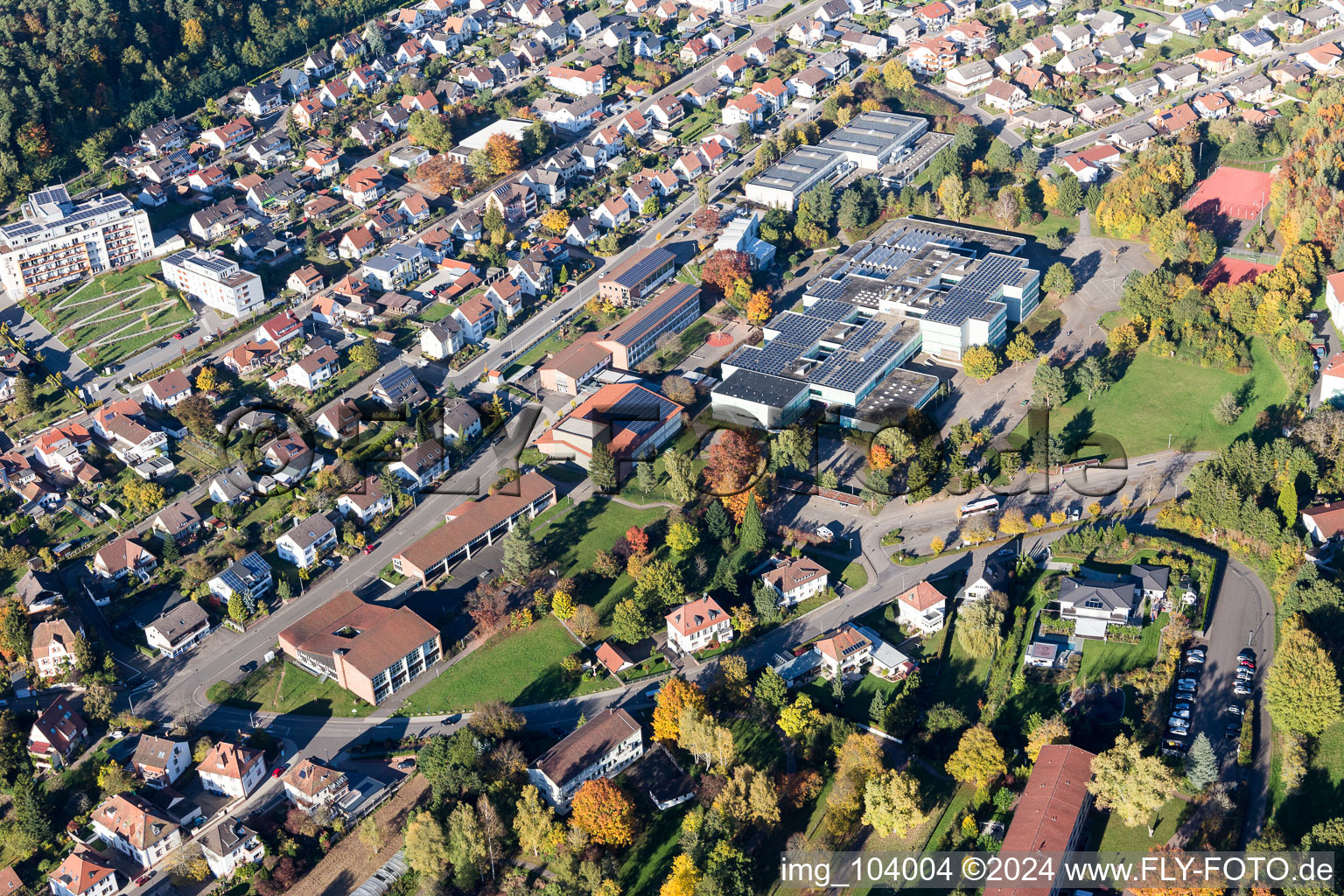 Vue aérienne de Dahn dans le département Rhénanie-Palatinat, Allemagne