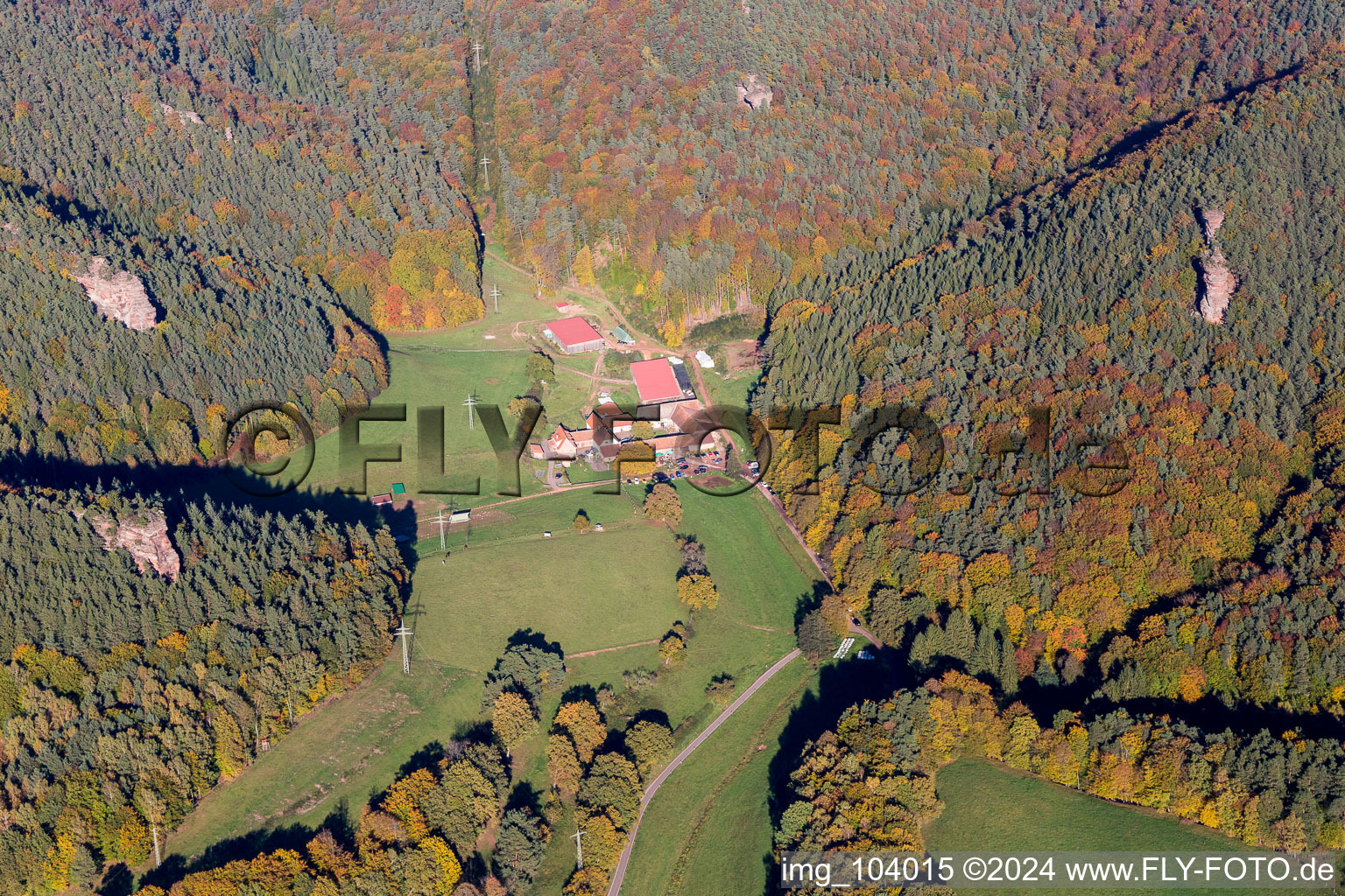 Vue aérienne de Bärenbrunnerhof à Busenberg dans le département Rhénanie-Palatinat, Allemagne