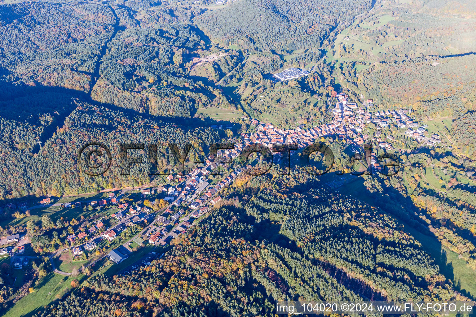 Vue aérienne de Forêts à Schwanheim dans le département Rhénanie-Palatinat, Allemagne